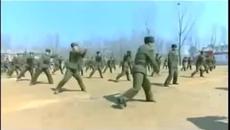 Специалните части на Северна Корея - Videoclip.bg