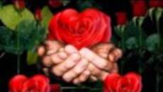 Червени рози* Armik * Red roses - Videoclip.bg