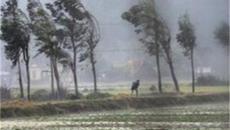 Идва нечуван мраз за Новата 2015 година - Ураганни ветрове и -15 под нулата - Videoclip.bg