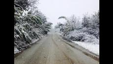 Весело посрещане на Новата 2015-та година - Videoclip.bg