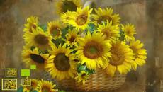 Частичка от слънцето във всяко сърце! - Videoclip.bg