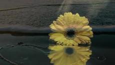 Panos Kiamos Любов Моя , Голяма - Agapi Mou Megali - Videoclip.bg