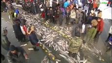 Новогодишната нощ 2015 в Северен Китай, езеро Чаган - Хиляди хора ловят риба в ледените води - Videoclip.bg