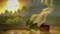 Превод! Джо Кокър - Аз, който нямам нищо - Videoclip.bg