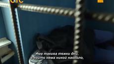 Кухня - Сезон 4, епизод 3 (Превод bg sub) - Videoclip.bg