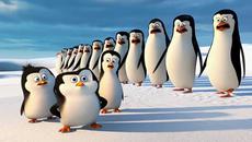 Пингвините от Мадагаскар - Анимационен филм за деца 2015 Penguins of Madagascar - Videoclip.bg