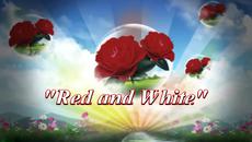 White, red and guitar! ... ... - Videoclip.bg