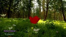 Relax music - Videoclip.bg