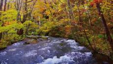 ▶ Breathtaking Autumn in Japan - Videoclip.bg