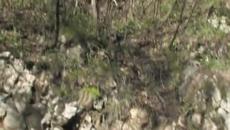 Достъпът до Бачковския манастир остава затруднен - Videoclip.bg