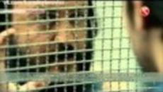 Хулиганът - еп.86/2 (karadayi subs) - Videoclip.bg