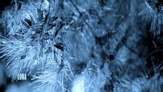 Neon Knights - Since You ve Been Gone - Videoclip.bg