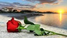 Нежна Любов! L Amour de ma vie - Camilo Sesto - Videoclip.bg