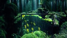 Yanni - Written on the Wind - Videoclip.bg