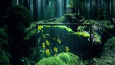Yanni - Written on the Wind - Videoclip.bg