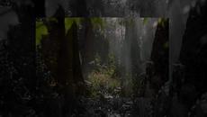 Tangerine Dream - Legend - Videoclip.bg