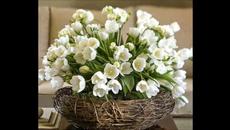 Идва първа пролет! Цветно настроение с Музика - Videoclip.bg