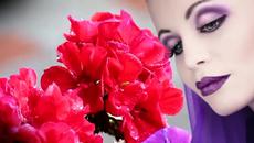 Ze Ramalho - Sinonimos - Videoclip.bg