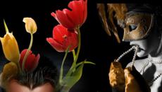 Papel de chiclete - Videoclip.bg