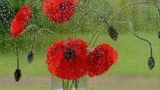 За първа пролет с музика ! Enya - May It Be - Videoclip.bg