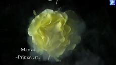 Mariza- Primavera - Videoclip.bg