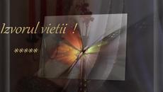 Stamatis Spanoudakis - Spring of life - Videoclip.bg