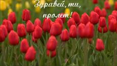 Благословена пролет! 22 МАРТ 2015! Честита пролет - Videoclip.bg