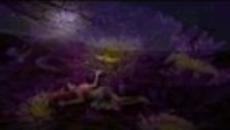 Цветни Мечти! Flower Dream - Videoclip.bg