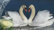 Richard Clayderman & Nights in white Satin - Videoclip.bg