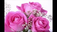 Песен за Любовта - Videoclip.bg