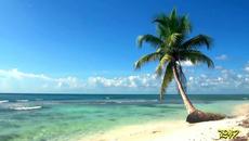 Лятна жълта рокля ... ... Веселин Маринов ... ... - Videoclip.bg