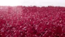 A Little Bit of Dance - Videoclip.bg