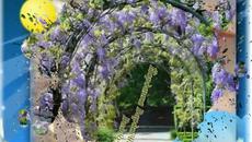 Йорданка Варджийска- Вярвай ми - Videoclip.bg