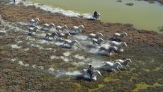 Денят на земята - Videoclip.bg