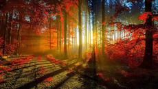 Nu Disco | Pete Oak - Sorry ( Original Mix ) - Videoclip.bg