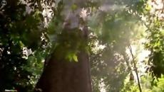 Michael Jackson - Earth Song - Videoclip.bg