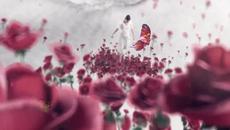 Butterfly in Bath - Videoclip.bg