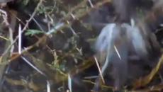 Time Of Love - Videoclip.bg