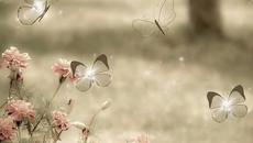 Музика за лека нощ! - Videoclip.bg