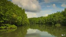 Музика за релакс!!! Edward Simoni Wolga Wolga - Videoclip.bg