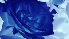 Дамата в Синьо ♥ Joe Dolan Lady in Blue ♥ - Videoclip.bg