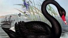 Музикални романтични балади - Дай ми до лудост, да обичам! - Videoclip.bg