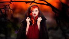 Beauty in Magic Forest - Videoclip.bg