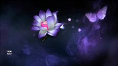 Denean - Butterfly Concerto - Videoclip.bg