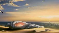 Love Needs Time - Videoclip.bg