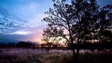 Михаела Филева - Приливи и отливи - Videoclip.bg