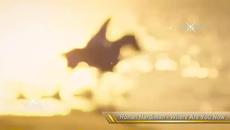 Ronan Hardiman - Where Are You Now - Videoclip.bg