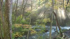 Yiruma - River Flows In You 2015 Реките които се вливат в теб - Videoclip.bg