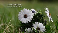 Танцувай с Вятъра! 2015 Omar Akram - Dancing With The Wind - Videoclip.bg