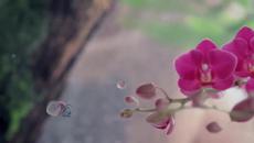 Романтика! Giovanni Marradi - Romantico - Videoclip.bg